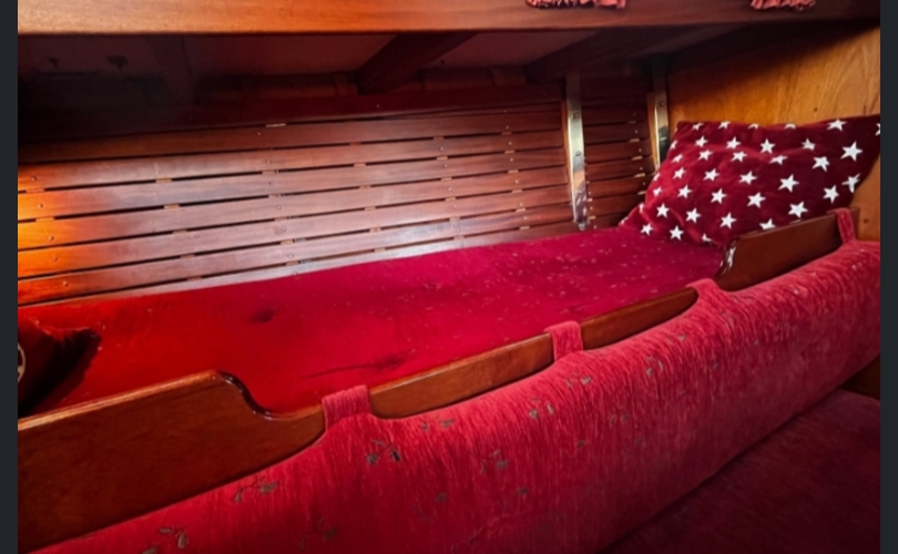 Scylla SuurScylla-kuva-8